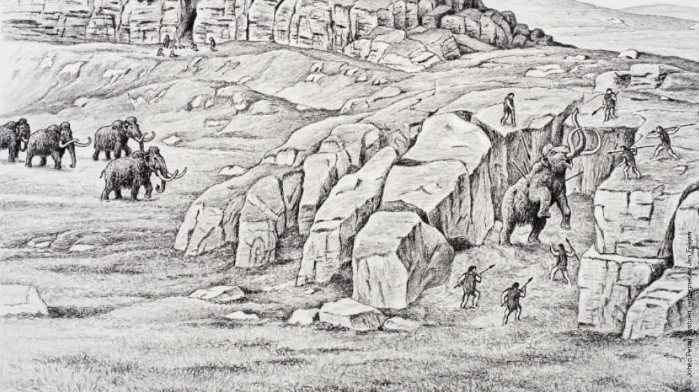 Bilde av mammut 